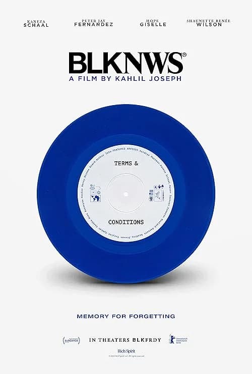 BLKNWS: Terms & Conditions